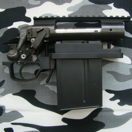 CDiPrecision with ACIS 10-round Mag