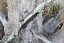Howa SuperLite Trigger Guard