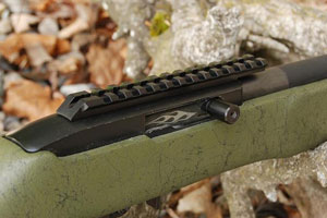 Ruger 10/22 Picatinny Scope Rail by DIP Inc  